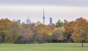 Wilket_Skyline_Fall